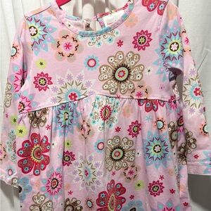 Hanna Andersson Pink Floral Long-Sleeve Toddler Dress